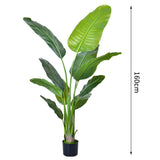 Oh Art Hot Selling 90cm-220cm Tall Artificial Bonsai & Kentia Palm Tree Plastic Outdoor Decorative Palm Tree