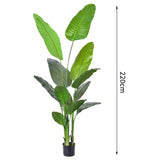 Oh Art Hot Selling 90cm-220cm Tall Artificial Bonsai & Kentia Palm Tree Plastic Outdoor Decorative Palm Tree