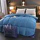 Super king Size in Stock Hypoallergenic Quilted Hilton Comforter