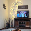 Living room with a TV, decorative plants, and wall art.