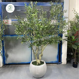 Large Artificial Plastic Olive Banana Bonsai Faux Potted Green Plan Tree with Lifelike Leaves Home Decor Window Display