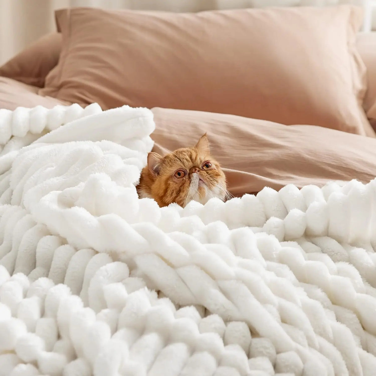 Luxury High Quality Raschel Throw Fleece Blanket Solid Soft Warm Cozy for Winter for Sofa Bed Flannel-Wholesale