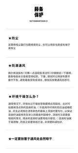 Japanese-Style Ins Rattan Glass Grid Red Small Coffee Table Minimalist Modern Creative Side Table Sofa Side Cabinet Double-Layer Small Table - Julia M LifeStyles