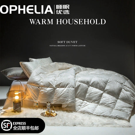 Italy Import Silk Duvet 95 White Goose down Quilt Winter Quilt Thickened Heattech Mute Floor Heating Air-Conditioning Quilt Julia M LifeStyles