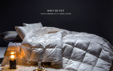 Italy Import Silk Duvet 95 White Goose down Quilt Winter Quilt Thickened Heattech Mute Floor Heating Air-Conditioning Quilt Julia M LifeStyles
