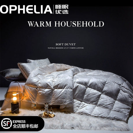 Italy Import Silk Duvet 95 White Goose down Quilt Winter Quilt Thickened Mute Floor Heating Air-Conditioning Quilt Julia M Home & Kitchen