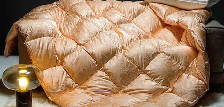 Italy Import Silk Duvet 95 White Goose down Quilt Winter Quilt Thickened Heattech Mute Floor Heating Air-Conditioning Quilt Julia M LifeStyles