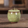 Modern Ceramic Airtight Storage Jar for Tea, Coffee, and Sugar Julia M LifeStyles