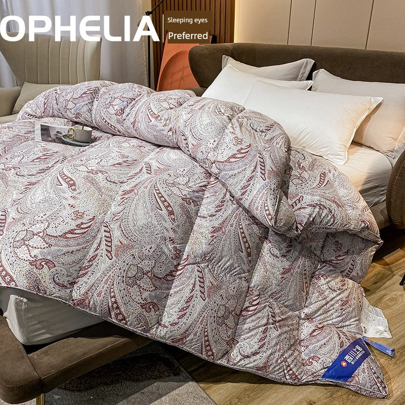 Italy Import Silk Duvet 95 White Goose down Quilt Winter Quilt Thickened Mute Floor Heating Air-Conditioning Quilt Julia M Home & Kitchen