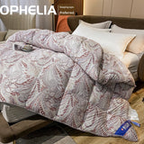 Italy Import Silk Duvet 95 White Goose down Quilt Winter Quilt Thickened Mute Floor Heating Air-Conditioning Quilt Julia M Home & Kitchen
