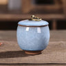 Modern Ceramic Airtight Storage Jar for Tea, Coffee, and Sugar Julia M LifeStyles