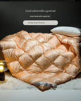 Italy Import Silk Duvet 95 White Goose down Quilt Winter Quilt Thickened Mute Floor Heating Air-Conditioning Quilt Julia M Home & Kitchen