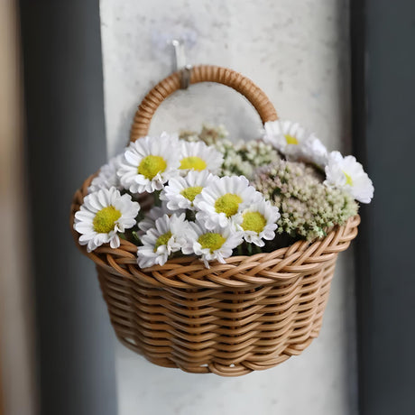Woven Hanging Storage Basket & Flower Plant Pot 🌿