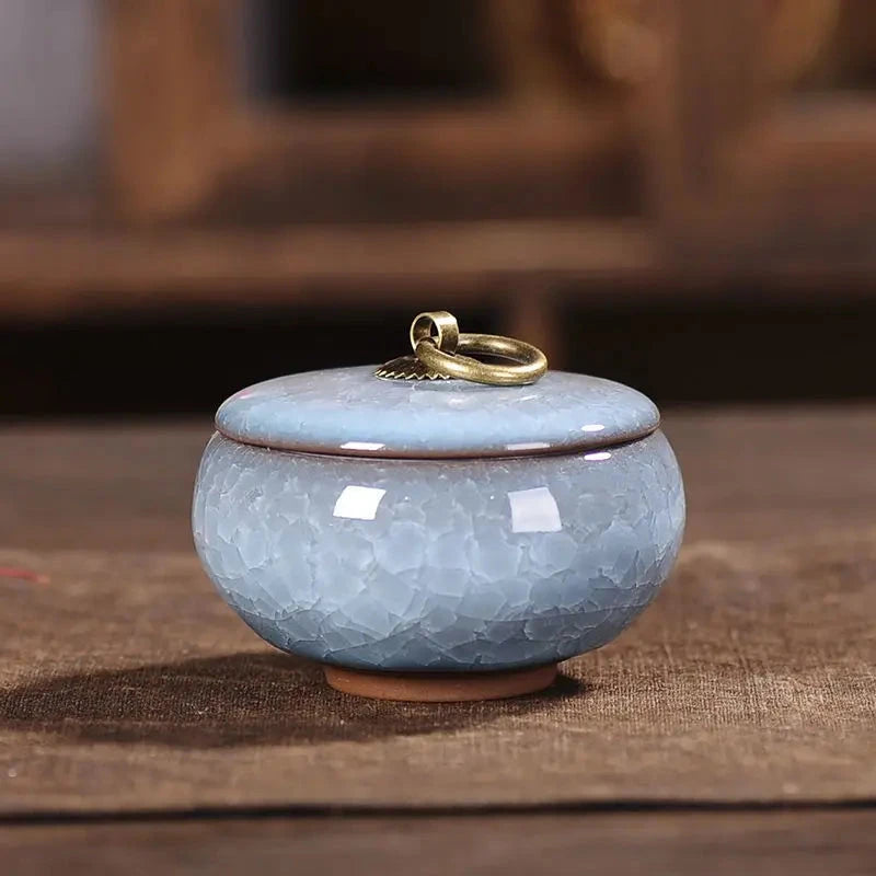 Modern Ceramic Airtight Storage Jar for Tea, Coffee, and Sugar Julia M LifeStyles
