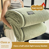 Plush Warm Winter Blanket A Grade Coral Fleece Flannel Soft Thick Bed Blankets for Sofa Single Double Couple Furry Bedspread Julia M LifeStyles