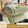 Plush Warm Winter Blanket A Grade Coral Fleece Flannel Soft Thick Bed Blankets for Sofa Single Double Couple Furry Bedspread Julia M LifeStyles