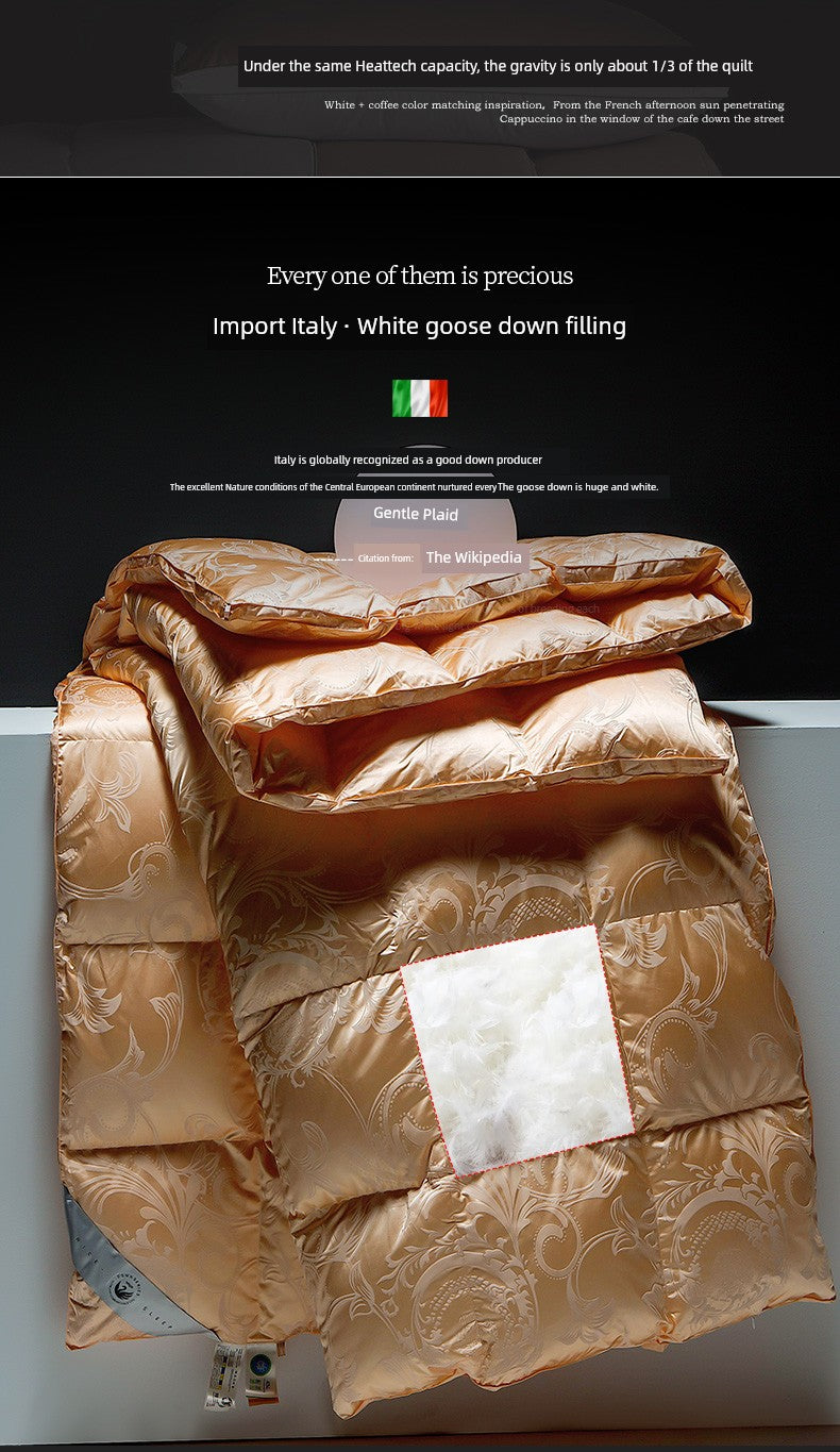 Italy Import Silk Duvet 95 White Goose down Quilt Winter Quilt Thickened Mute Floor Heating Air-Conditioning Quilt Julia M Home & Kitchen