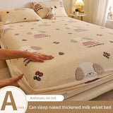 Elegant Winter Fleece-Lined Coral Milk Fiber Fitted Sheet Julia M Home & Kitchen