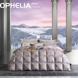 Italy Import Silk Duvet 95 White Goose down Quilt Winter Quilt Thickened Mute Floor Heating Air-Conditioning Quilt Julia M Home & Kitchen