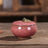 Modern Ceramic Airtight Storage Jar for Tea, Coffee, and Sugar Julia M LifeStyles
