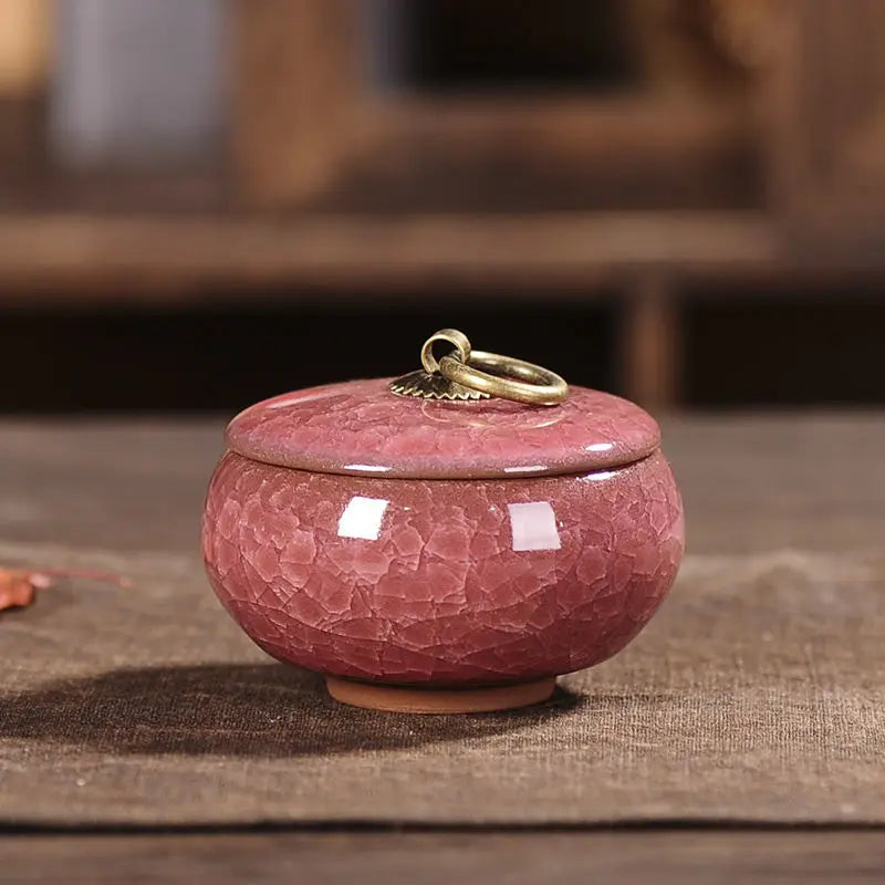 Modern Ceramic Airtight Storage Jar for Tea, Coffee, and Sugar Julia M LifeStyles