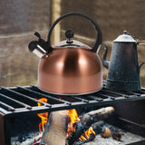 Stainless Steel Whistling Water Kettle 2.5L for Safe Home Boiling Julia M LifeStyles
