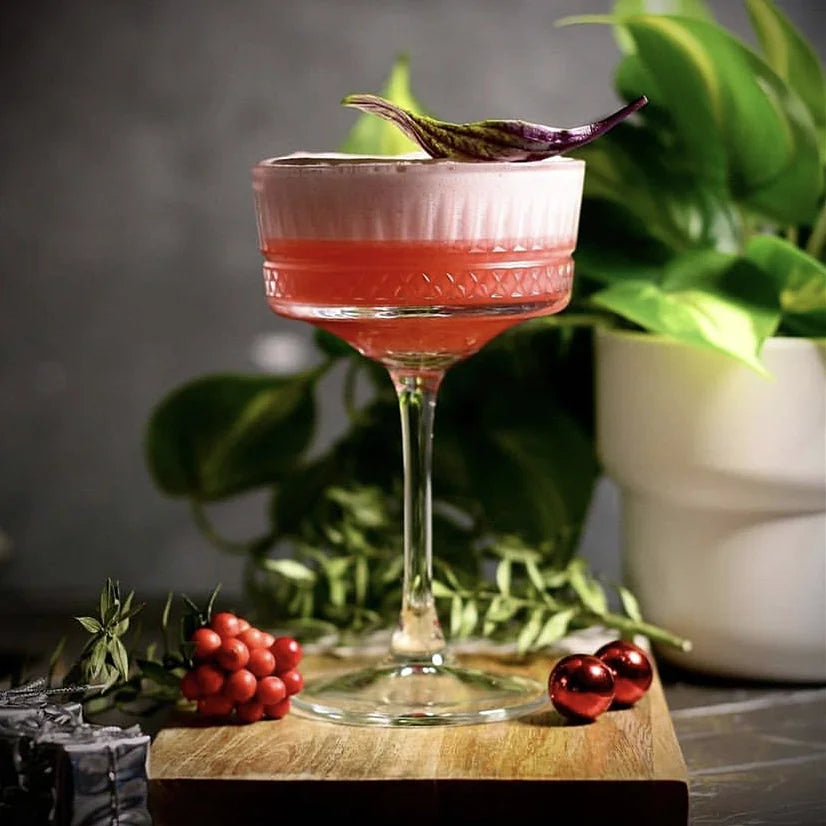 Élan Cocktail Glasses — Set of 4
