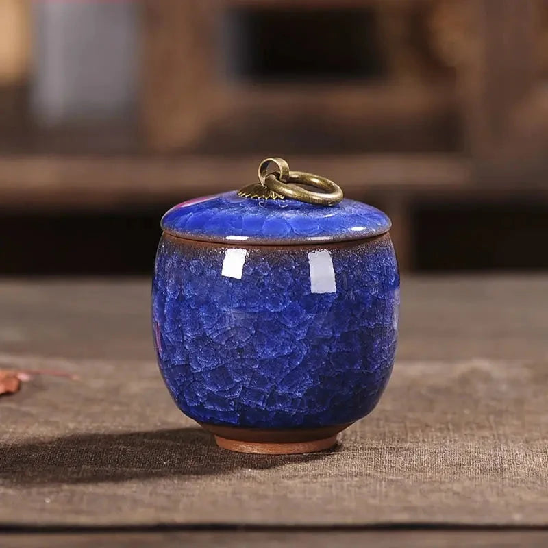 Modern Ceramic Airtight Storage Jar for Tea, Coffee, and Sugar Julia M LifeStyles