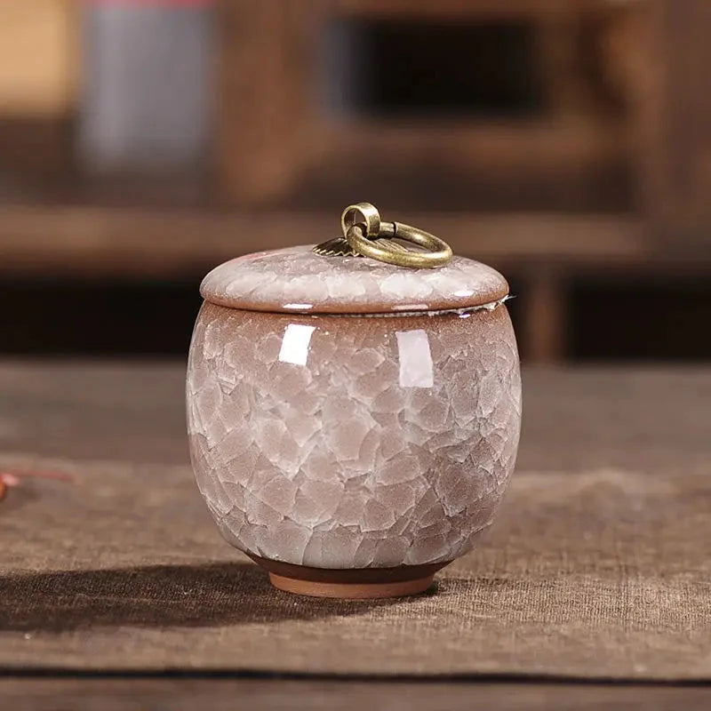 Modern Ceramic Airtight Storage Jar for Tea, Coffee, and Sugar Julia M LifeStyles
