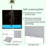 2-Piece Gray Raised Garden Bed with Self-Watering Legs for Growing Herbs & Vegetables Julia M LifeStyles