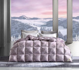 Italy Import Silk Duvet 95 White Goose down Quilt Winter Quilt Thickened Heattech Mute Floor Heating Air-Conditioning Quilt Julia M LifeStyles