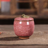 Modern Ceramic Airtight Storage Jar for Tea, Coffee, and Sugar Julia M LifeStyles