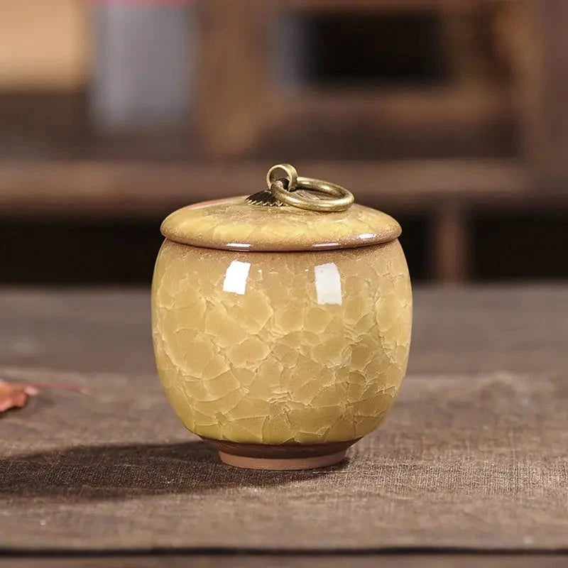Modern Ceramic Airtight Storage Jar for Tea, Coffee, and Sugar Julia M LifeStyles