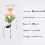 Solar Flower Lights: 2-Pack Outdoor Waterproof LED Garden Decor - Julia M LifeStyles