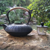 Southern Iron Handmade Japanese-Style Cast Iron Teapot - Retro Design - Julia M LifeStyles