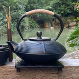 Southern Iron Handmade Japanese-Style Cast Iron Teapot - Retro Design - Julia M LifeStyles