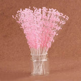 White Pearl Beaded Flower Stems - Julia M LifeStyles