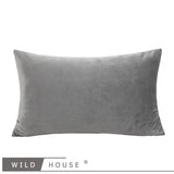 Wild House Modern Light Luxury Gray Leather Stitching Pillow Metal Buckle Decorative Cushions Sofa Cushion Sets - Julia M LifeStyles