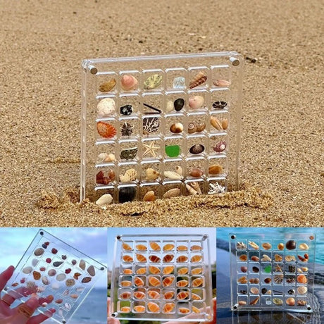 Exquisite Seashell Showcase Box 🐚 - Julia M LifeStyles