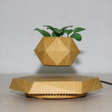 Floating Magnetic Levitating Flower Pot Bonsai Air Plant Pot Planter Potted For Home Office Desk Decor Creative Gift - Julia M LifeStyles