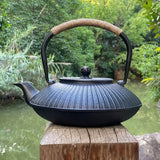 Southern Iron Handmade Japanese-Style Cast Iron Teapot - Retro Design - Julia M LifeStyles