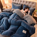 Household Milk Double-sided Velvet Lamb Wool Winter Blanket Warm Double-sided Velvet Core - Julia M LifeStyles