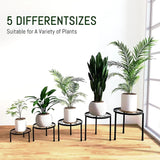 5-Piece Rust-Proof Metal Plant Holder - Julia M LifeStyles