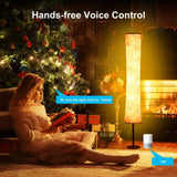 Julia M Lifestyles RGB Remote Control Floor Lamp - Julia M LifeStyles