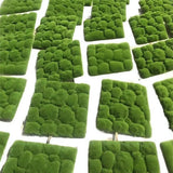 Vertical Green Artificial Moss Wall Panels Glass Material for Garden Decoration and Interior Design Julia M LifeStyles