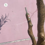 Floral tool with wooden handle and metal tip on a pink background