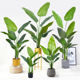 90-220cm Tall Artificial Kentia Palm & Bonsai Tree - Durable Outdoor Decor Julia M LifeStyles