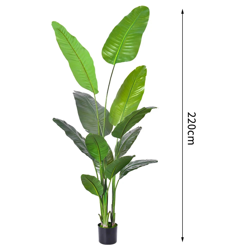 90-220cm Tall Artificial Kentia Palm & Bonsai Tree - Durable Outdoor Decor Julia M LifeStyles