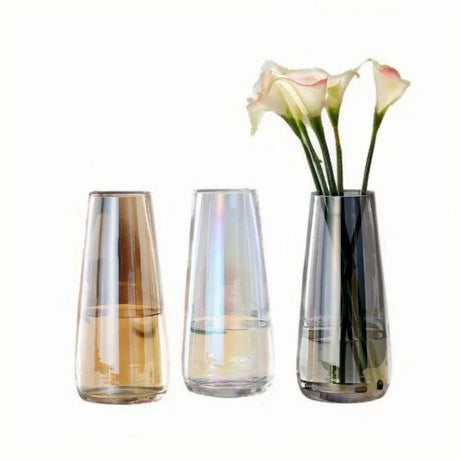 Transparent Glass Vase Julia M LifeStyles