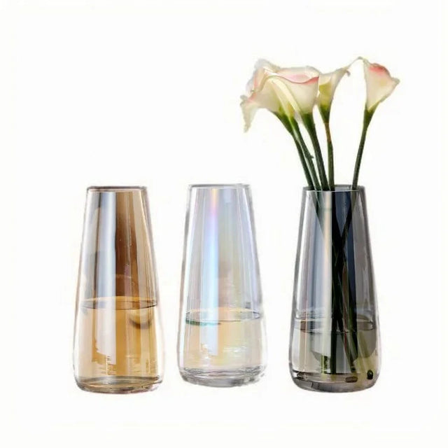 Transparent Glass Vase Julia M LifeStyles